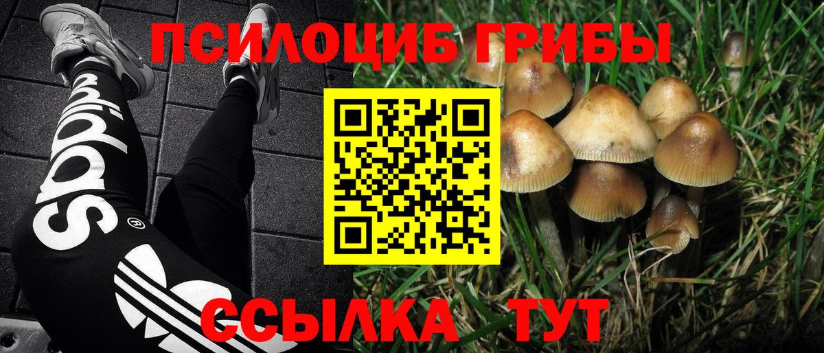 Спасск-Дальний  Галлюциногенные грибы прущие грибы  Вход с VPN 